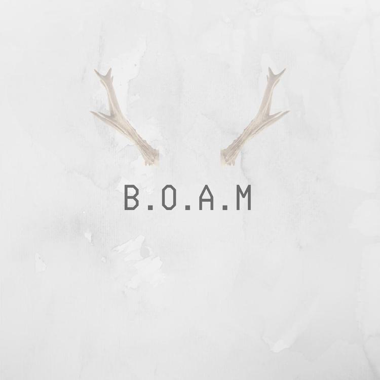 B.O.A.M's avatar image