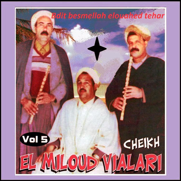 Cheikh El Miloud El Vialari's avatar image