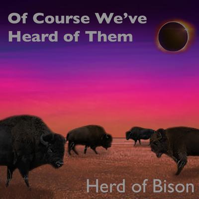 Herd of Bison's cover