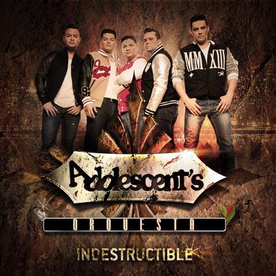 Indestructible's cover