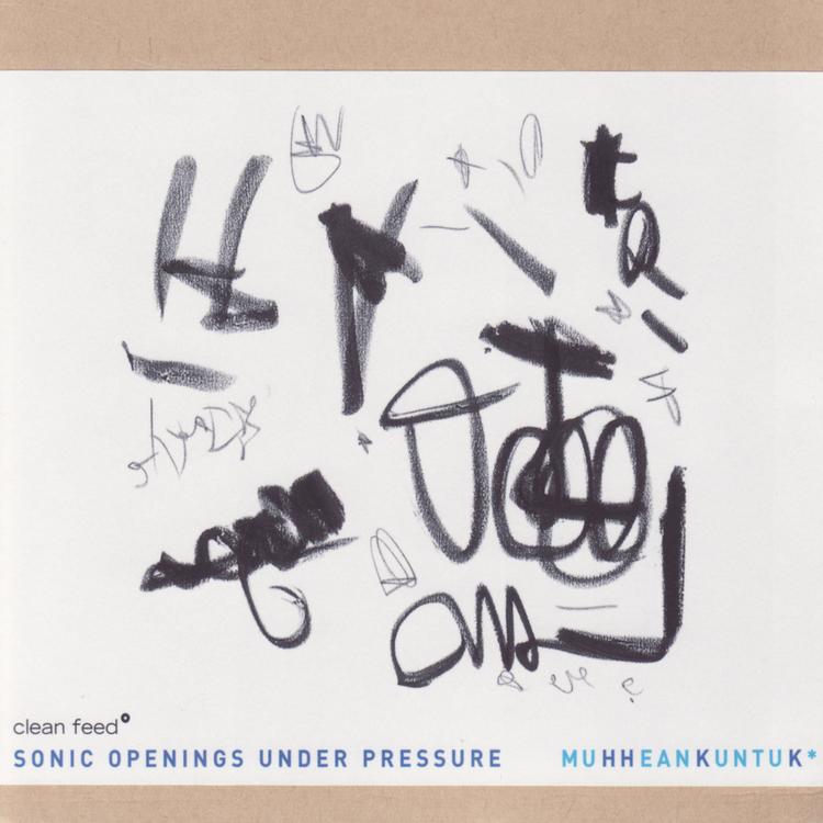 Sonic Openings Under Pressure's avatar image