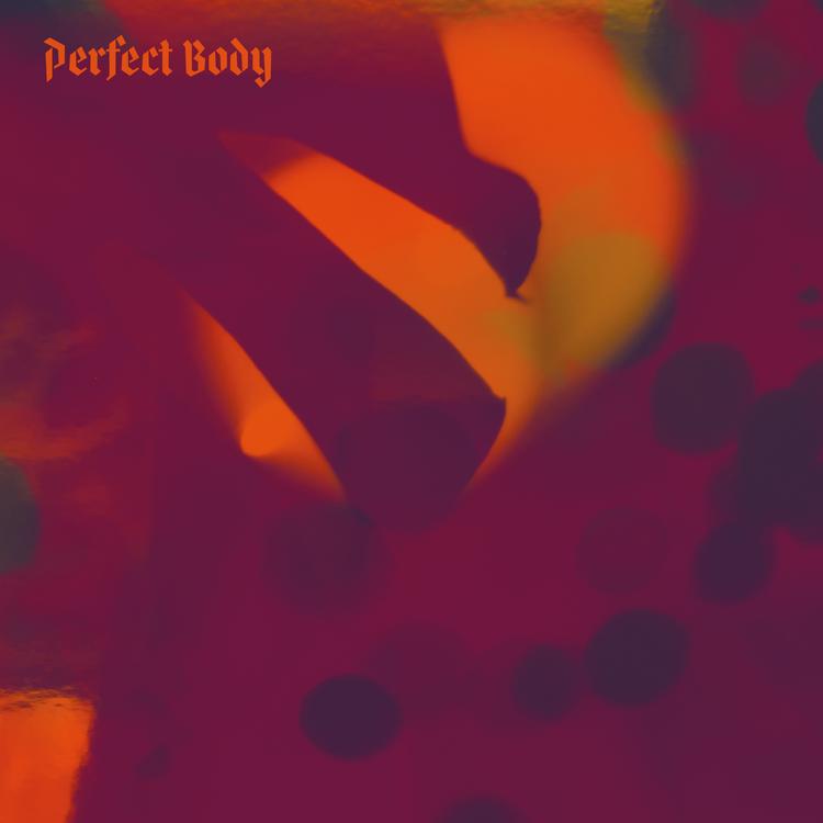 Perfect Body's avatar image