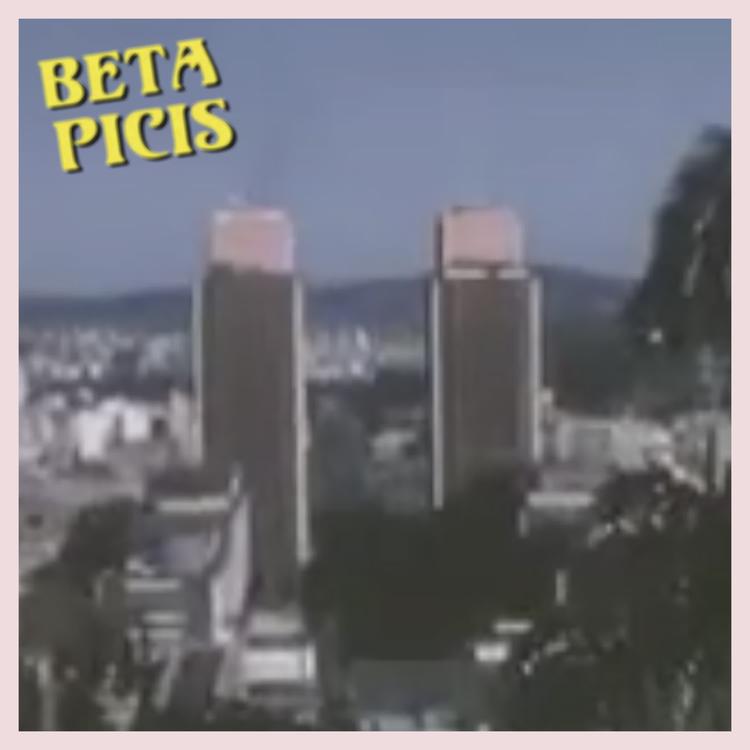 Beta Picis's avatar image