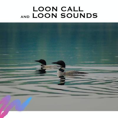 What Sound Does a Loon Make By White Noise Radiance, Loon Sounds, Nature Sounds's cover