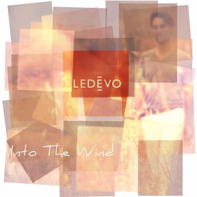 Into the Wind's cover