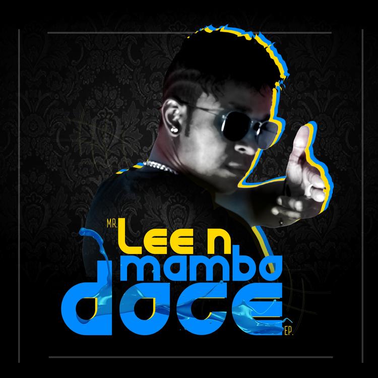Mr. Lee N's avatar image