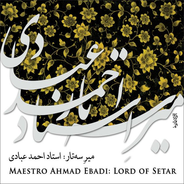 Ahmad Ebadi's avatar image