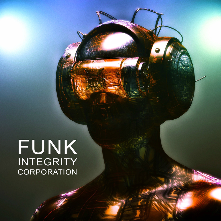 Funk Integrity Corporation's avatar image
