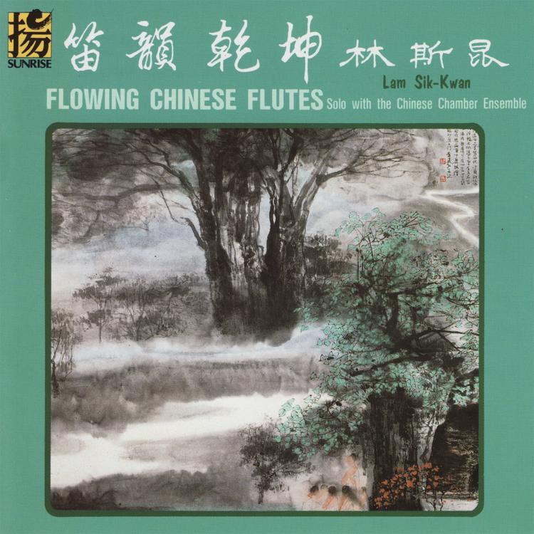 Chinese Chamber Ensemble's avatar image