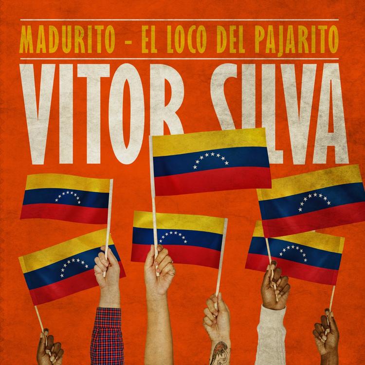 Vitor Silva's avatar image