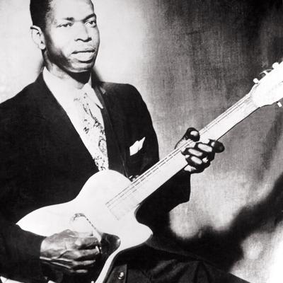 Elmore James's cover