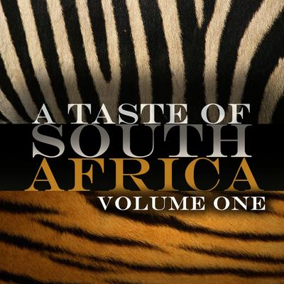 A Taste Of South Africa Vol 1's cover