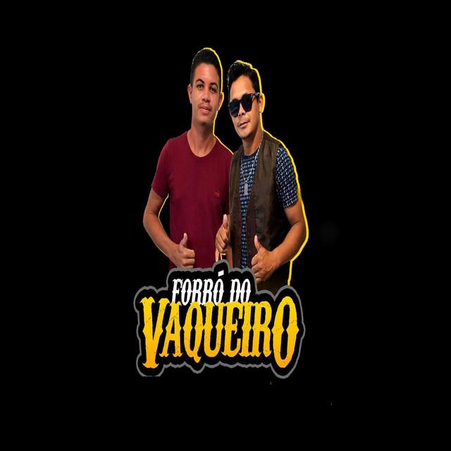 FORRO DO VAQUEIRO's avatar image