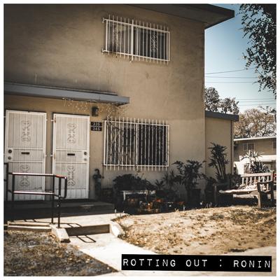 Stones By Rotting Out's cover