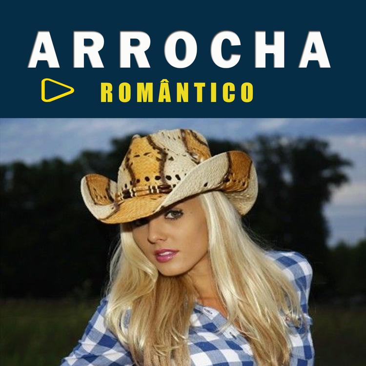 Playlist Arrocha Sertanejo's avatar image
