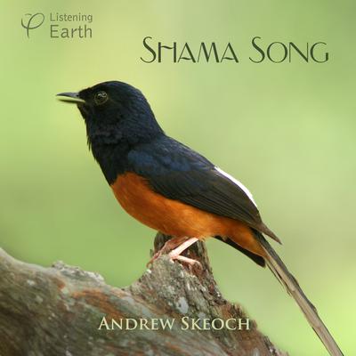 Song of the White-rumped Shama's cover