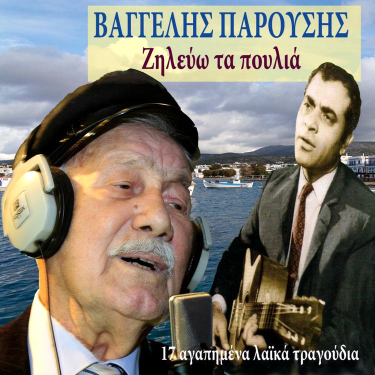 Vaggelis Paroussis's avatar image