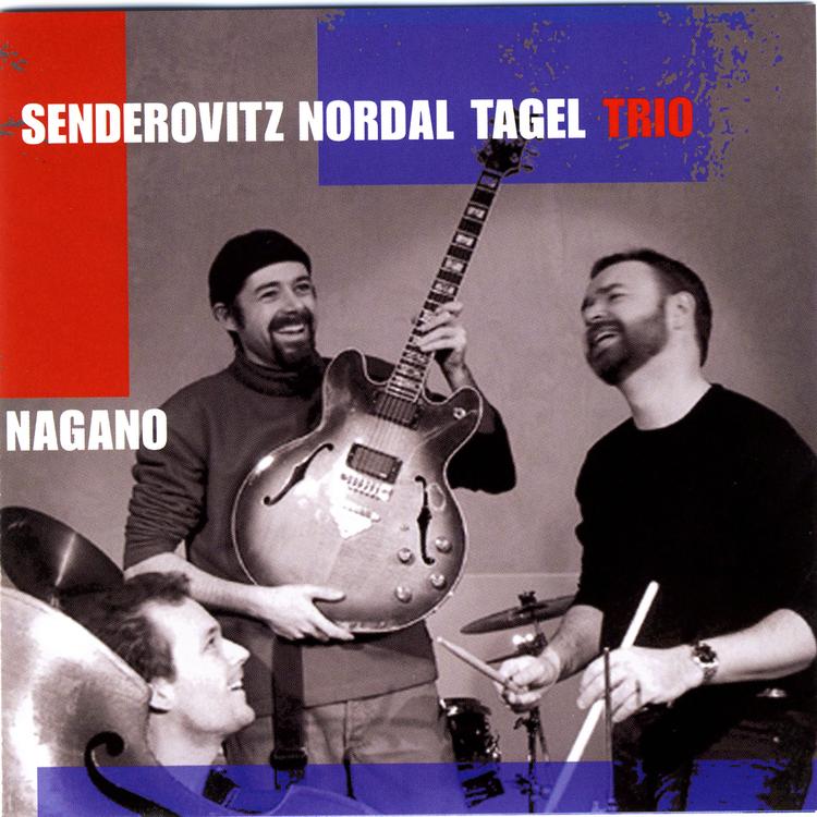 Senderovitz Nordal Tagel Trio's avatar image