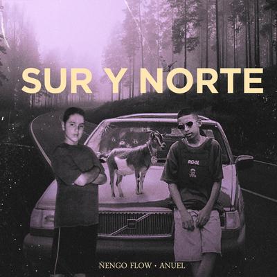 Sur y Norte By Ñengo Flow's cover