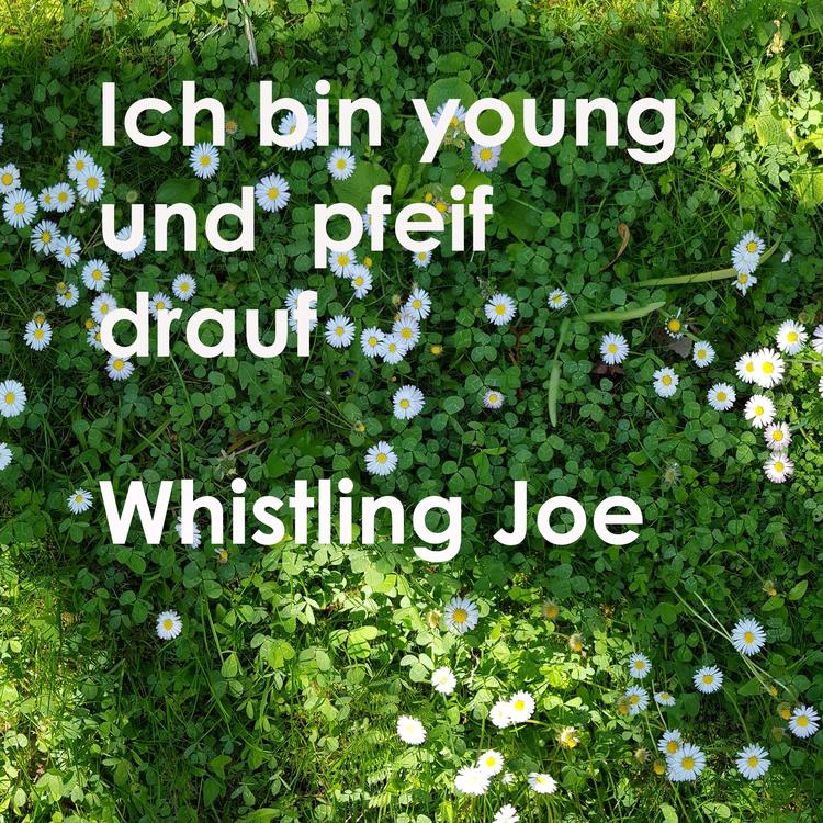 Whistling Joe's avatar image