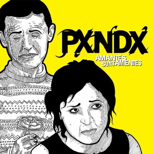 #pxndx's cover