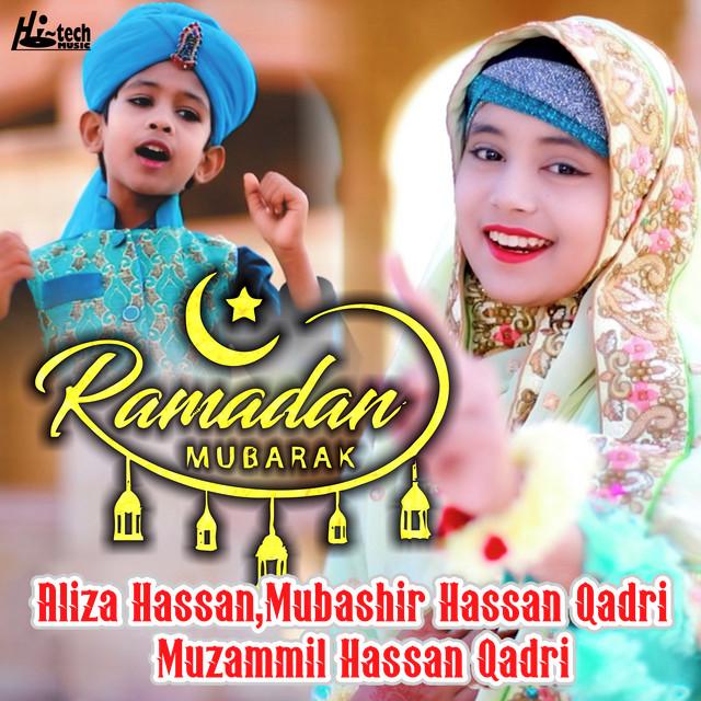 Muzammil Hassan Qadri's avatar image