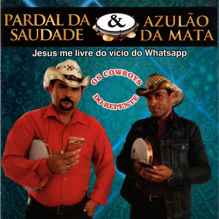 Pardal da Saudade & Azulão da Mata's avatar image