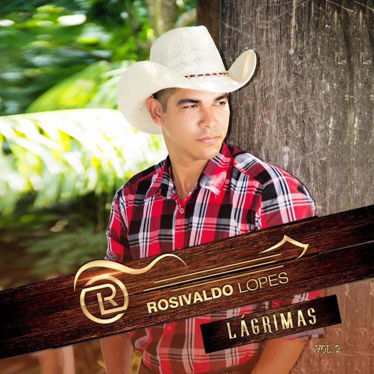 Rosivaldo Lopes's avatar image