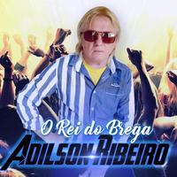 o rei do Brega Adilson ribeiro's avatar cover