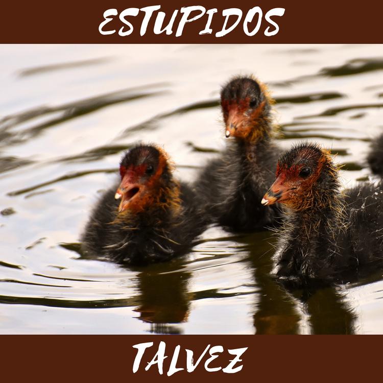 ESTUPIDOS's avatar image