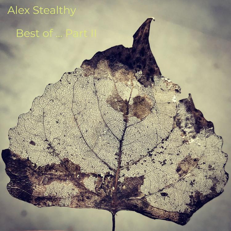 Alex Stealthy's avatar image