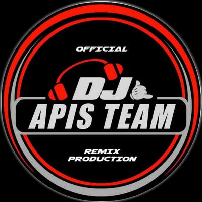 DJ Apis Team's cover