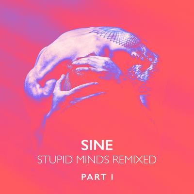 Stupid Minds (Silky Wave Remix) By SINE's cover