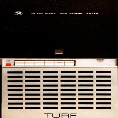 Turf's cover