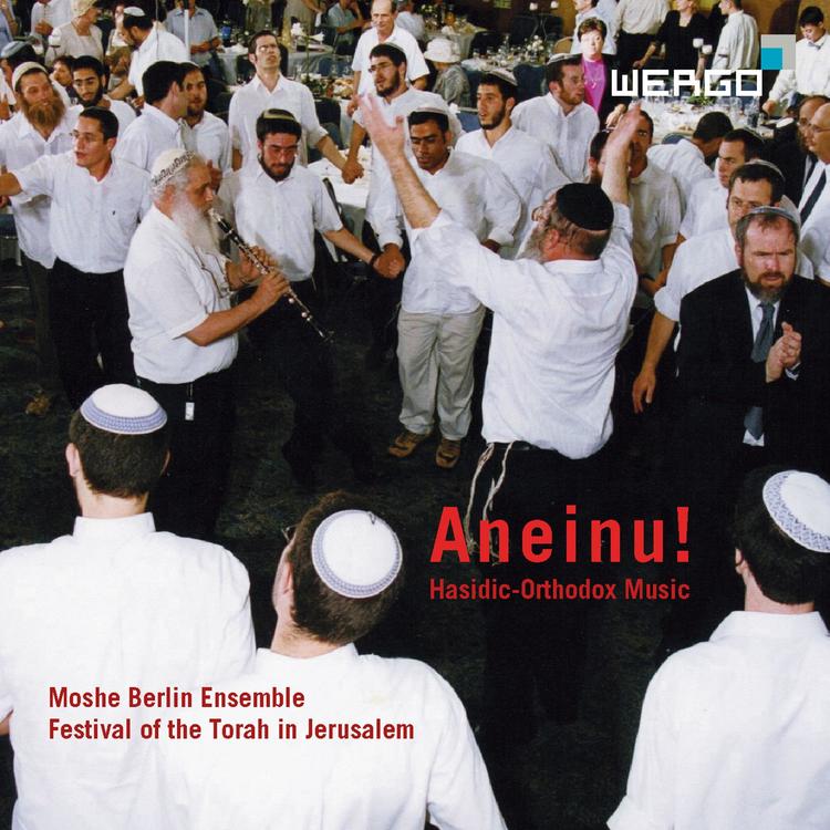 Moshe Berlin Ensemble's avatar image