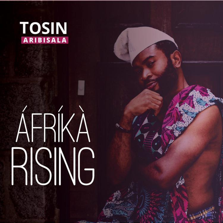 Tosin Aribisala's avatar image