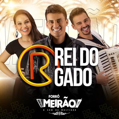 Rei do Gado By Forró Meirão's cover