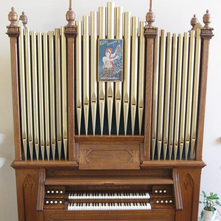 Organ''s avatar image