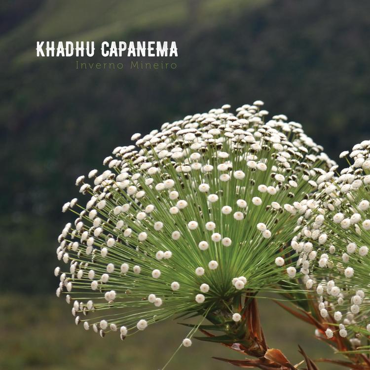 Khadhu Capanema's avatar image