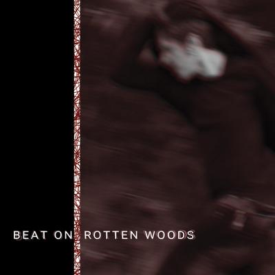 I Built My Home By Beat on Rotten Woods's cover