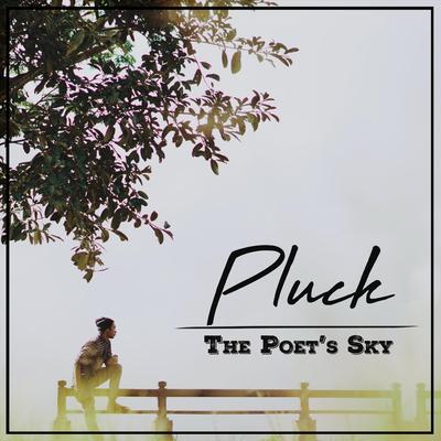 The Poet's Sky's cover