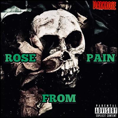 Rose from Pain's cover