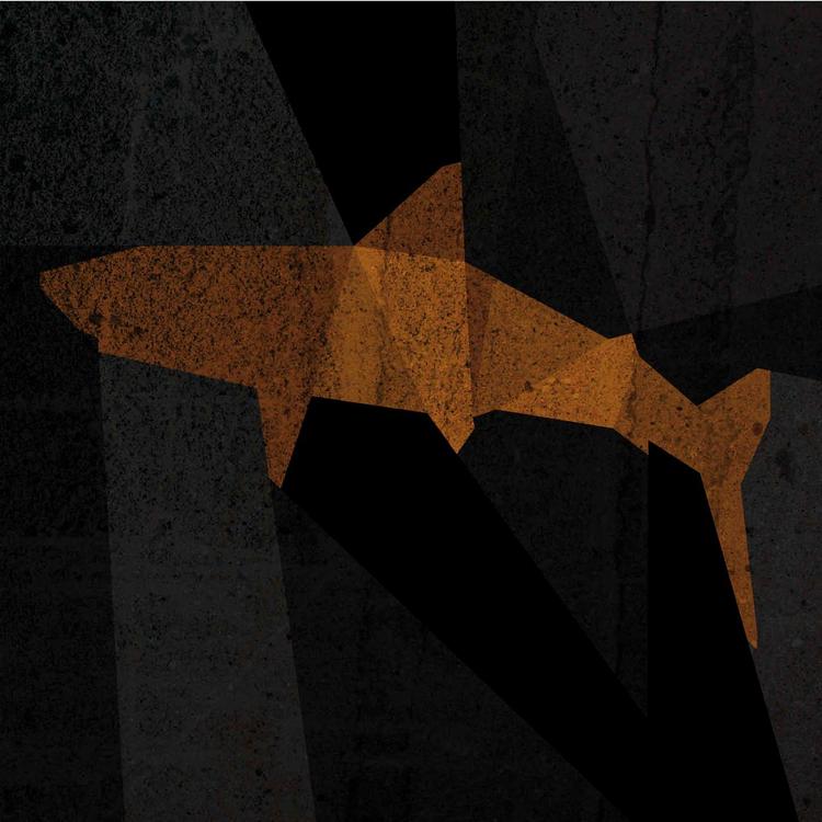 Tubarão's avatar image