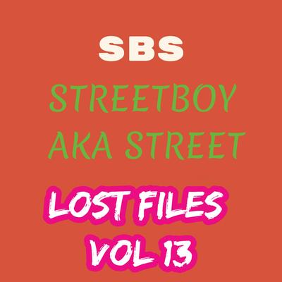 Lost Files VOL 13's cover