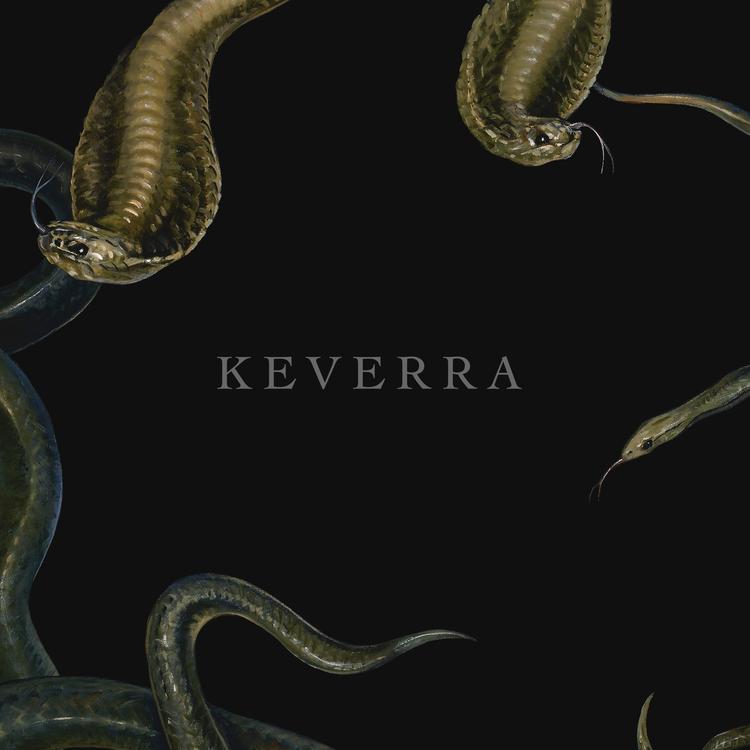 Keverra's avatar image