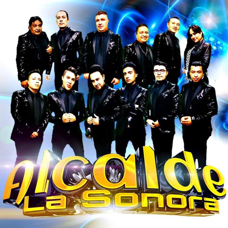 Alcalde La Sonora's avatar image