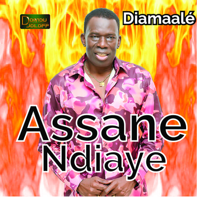 Diamaalé (Remix 2008)'s cover