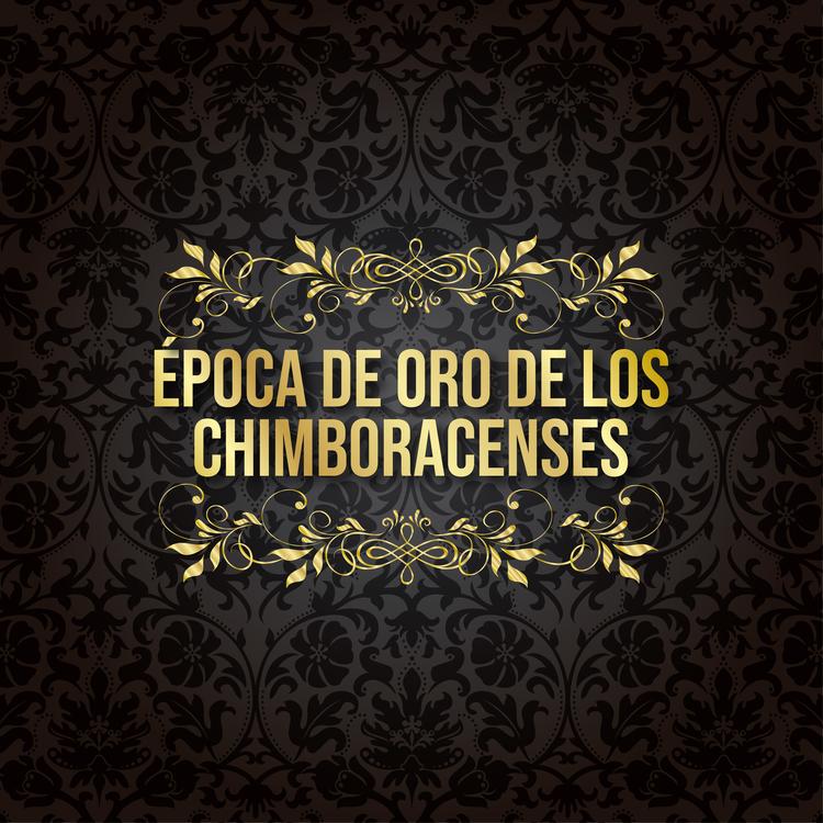 Los Chimboracenses's avatar image