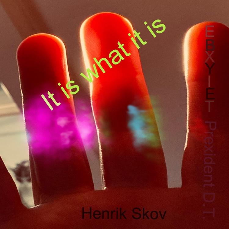 Henrik Skov's avatar image