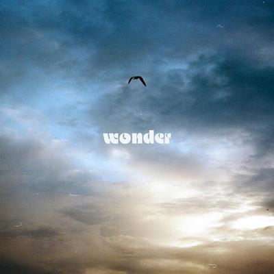 wonder By Billy Hammer's cover